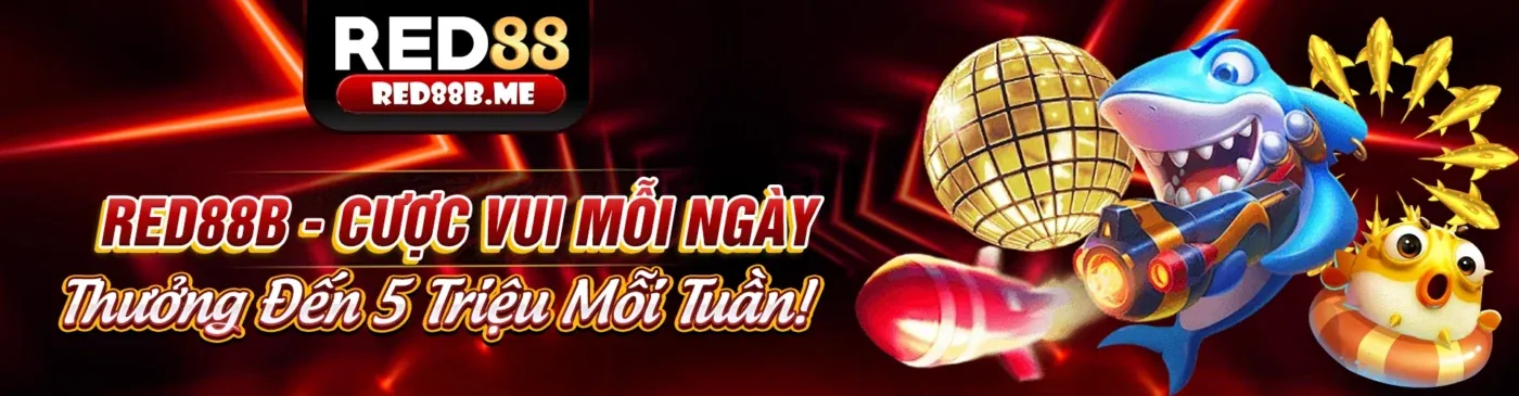 Chính sách Bảo mật K8CC đảm bảo an toàn dữ liệu người dùng